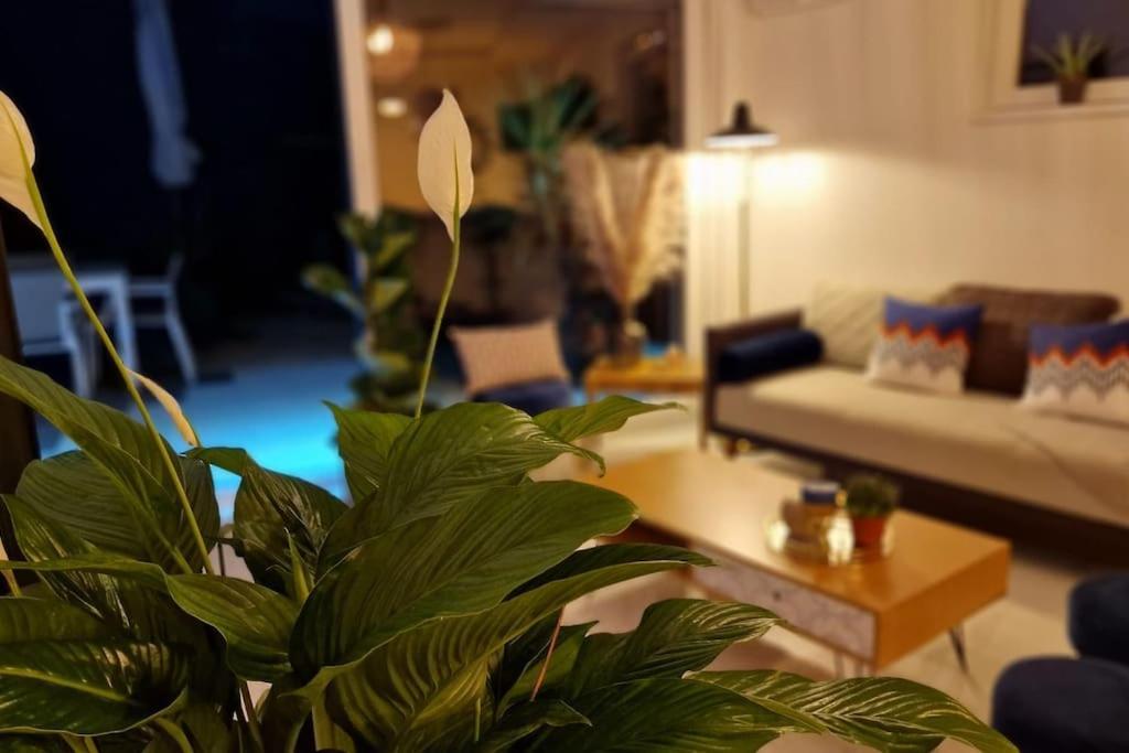 Suite Prestige Logement Neuf Avec Spa Et Ecran De Cinema En Rez De Jardin Кольмар Экстерьер фото