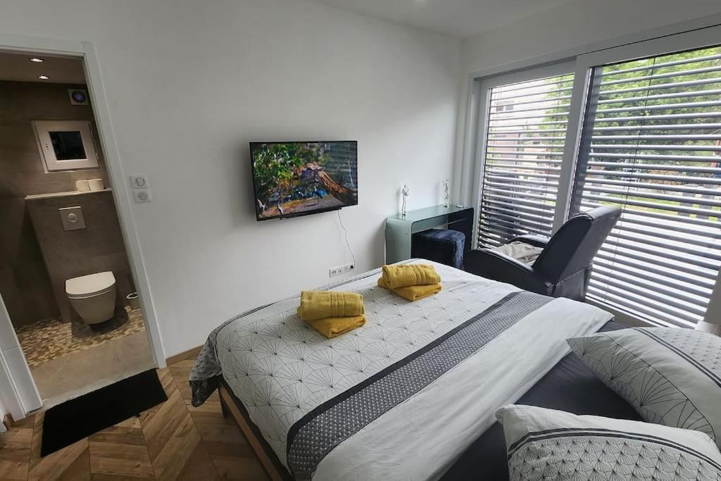 Suite Prestige Logement Neuf Avec Spa Et Ecran De Cinema En Rez De Jardin Кольмар Экстерьер фото